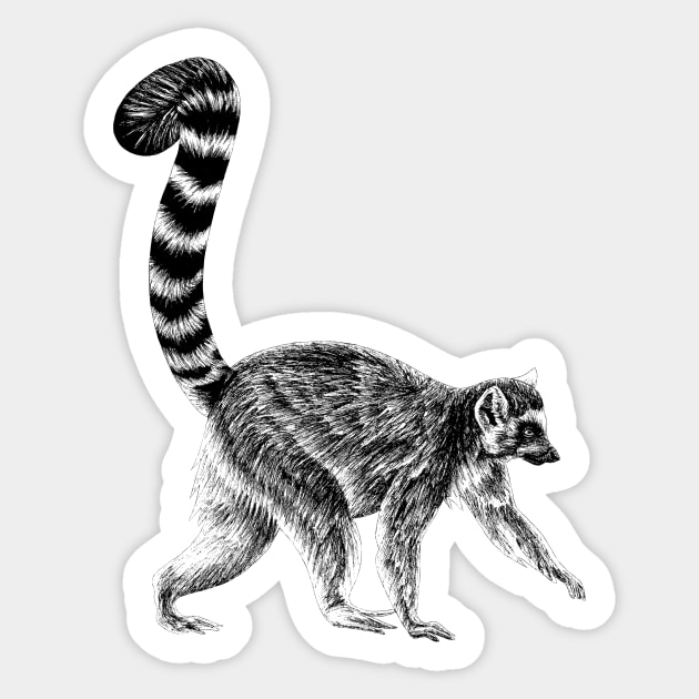 Walking ring-tailed lemur monkey ink illustration 2 Sticker by lorendowding
